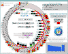 SRcomfort.gif (64394 bytes)